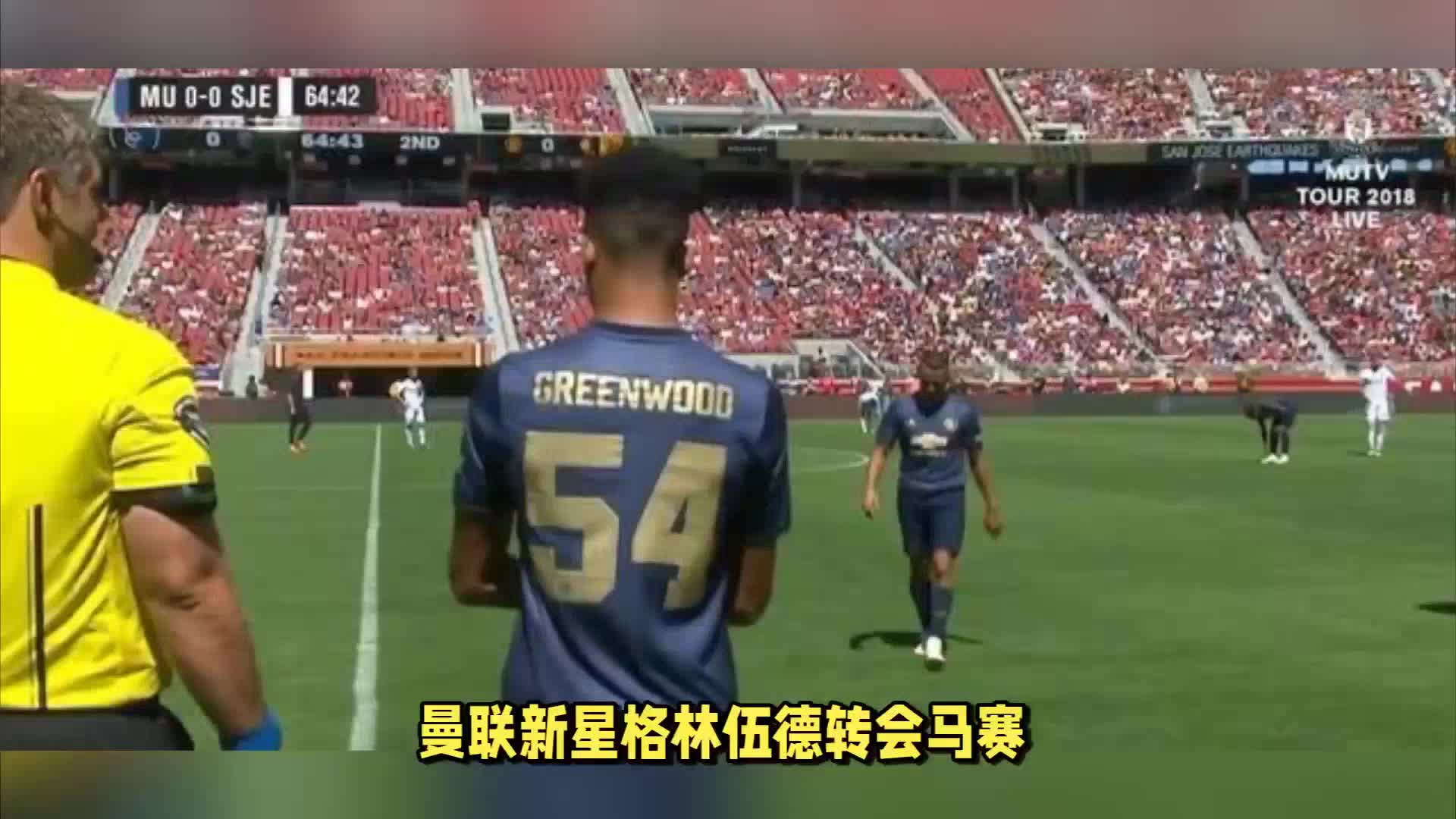蒂尼家族